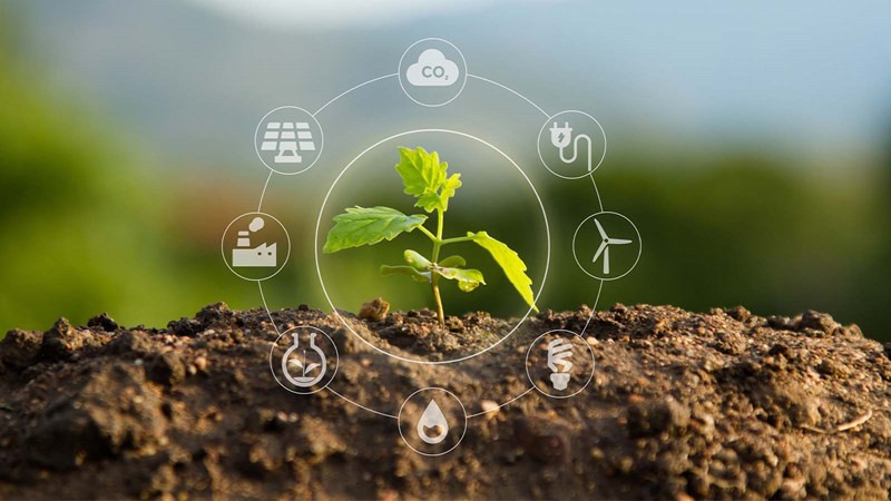 Bæredygtig forretningsudvikling