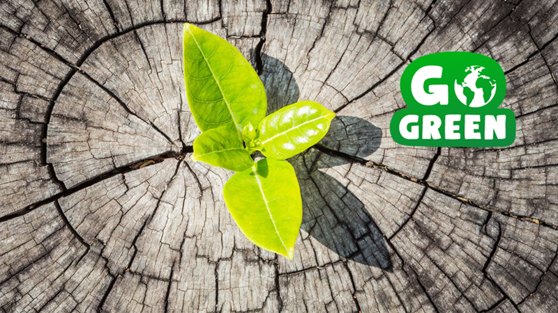 Den Grønne Pallette -  Hvad er en ESG-rapport og hvad skal den indeholde?